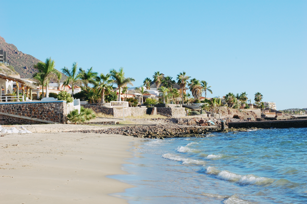 san carlos, mexcio, sonora, beach, palm trees, san carlos plaza