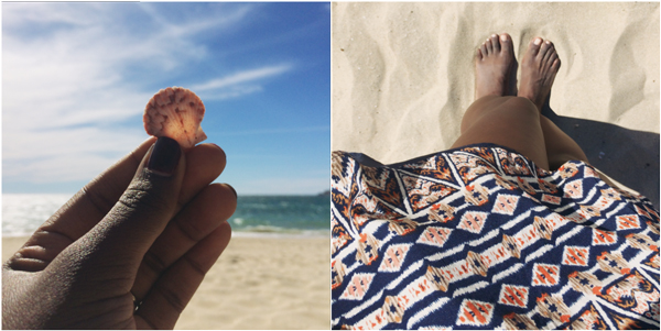 Seashells-Beach