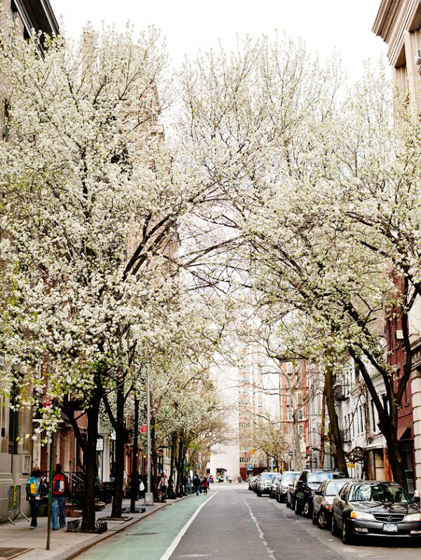 spring in nyc