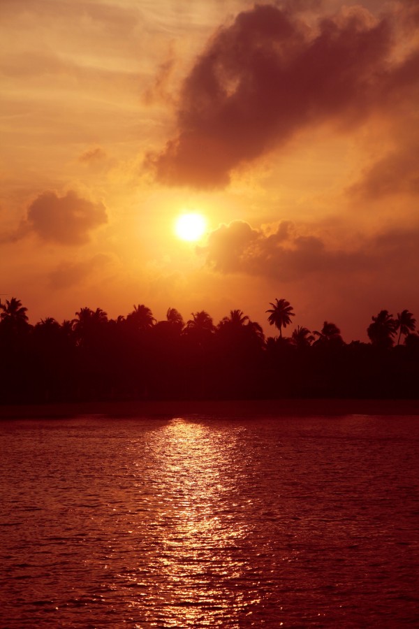 maldives, beach, sunset, pretty sunset, sunset on the beach, the maldives, maldives sunset