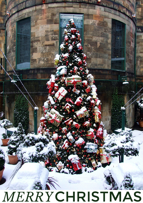 edinburgh dome tree, christmas tree, presents, decorated tree, outdoor christmas tree